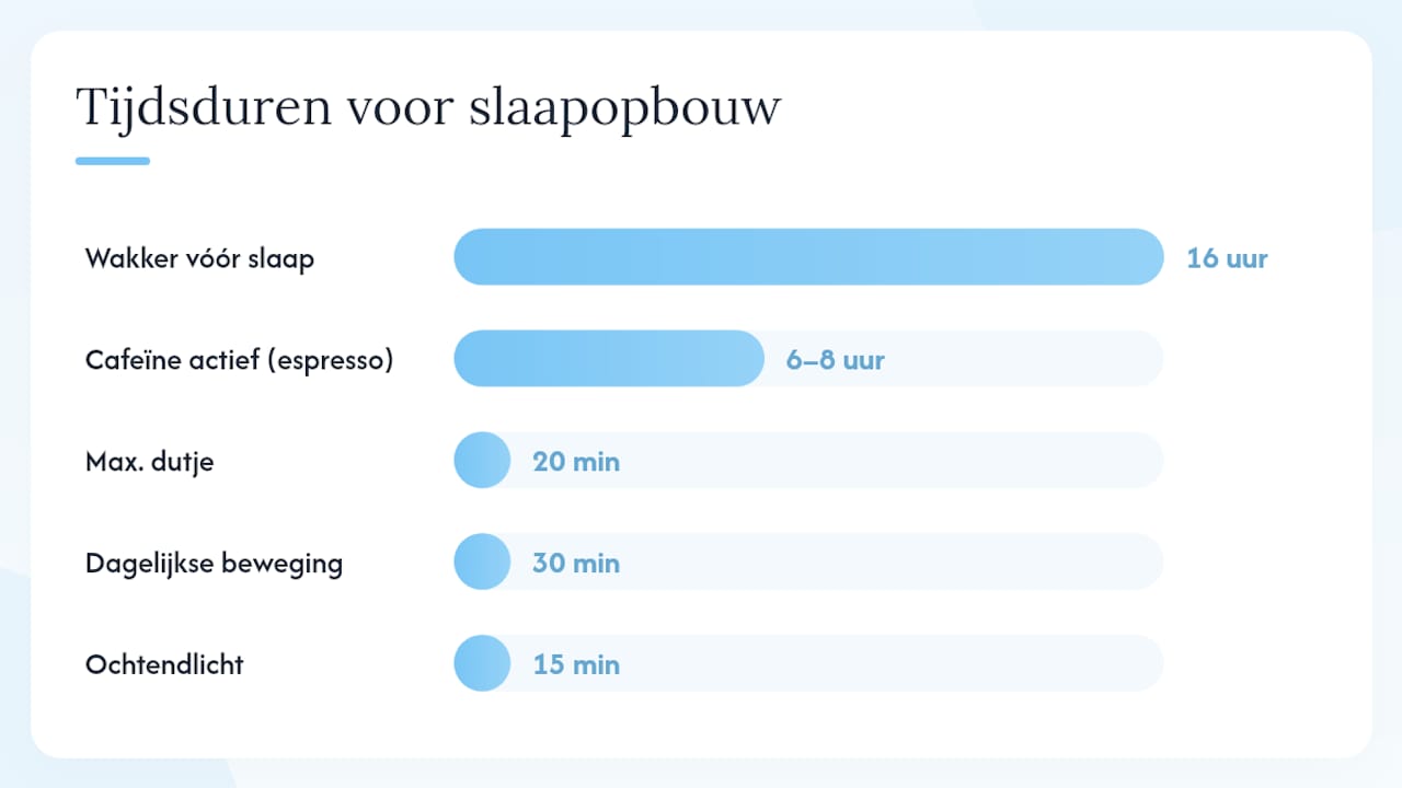 Een dagplan om slaapdruk gezond op te bouwen — overview diagram